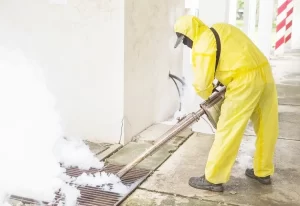 Pest control services LA