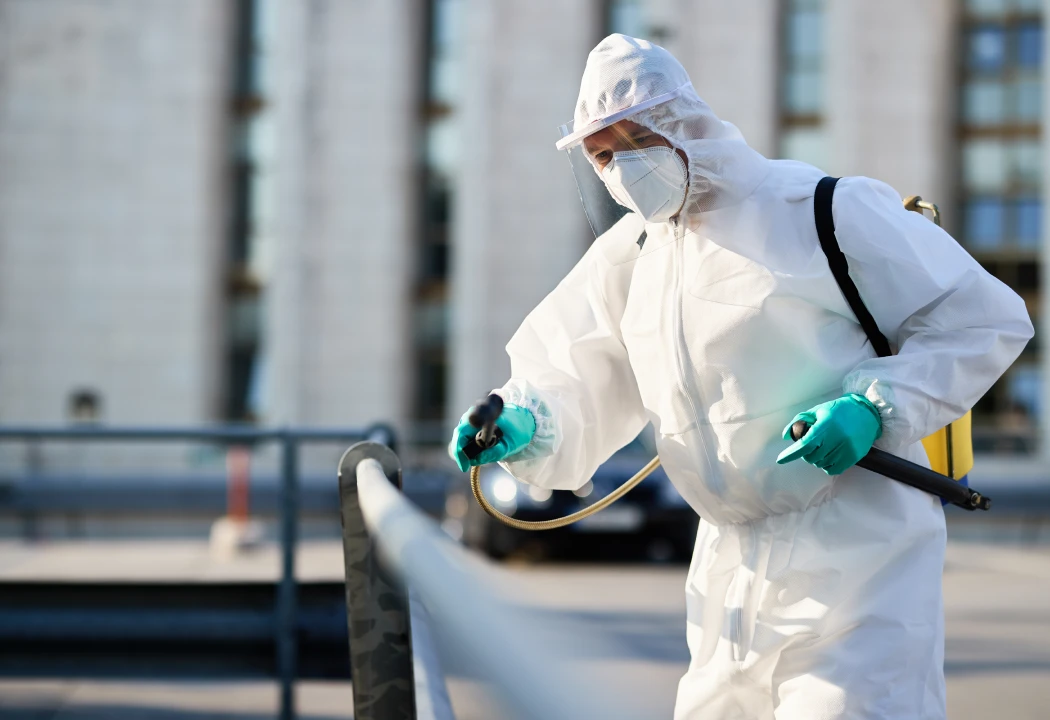 Pest Control Services