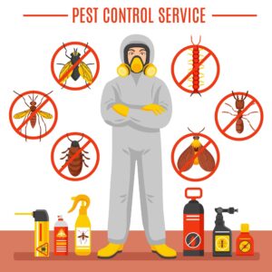 Pest control services summerlin