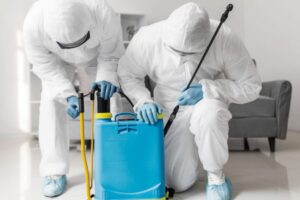 Household pest control hacks versus integrated pest management Las Vegas homes