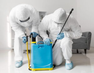household hacks vs IPM