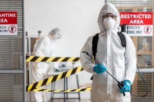 Pest Control Services in Las Vegas