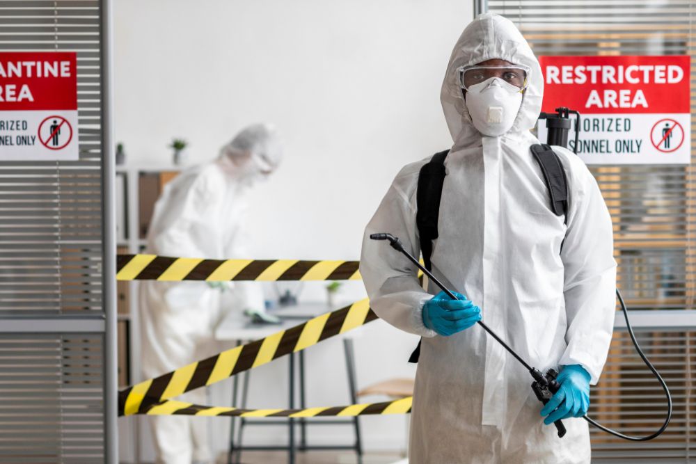 Pest Control Services in Las Vegas