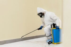 Residential Pest Control Services