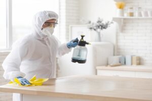 bed bug removal services las vegas