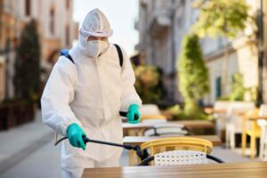 How Often Should You Get Pest Control