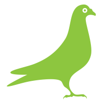 Pigeon removal Las Vegas