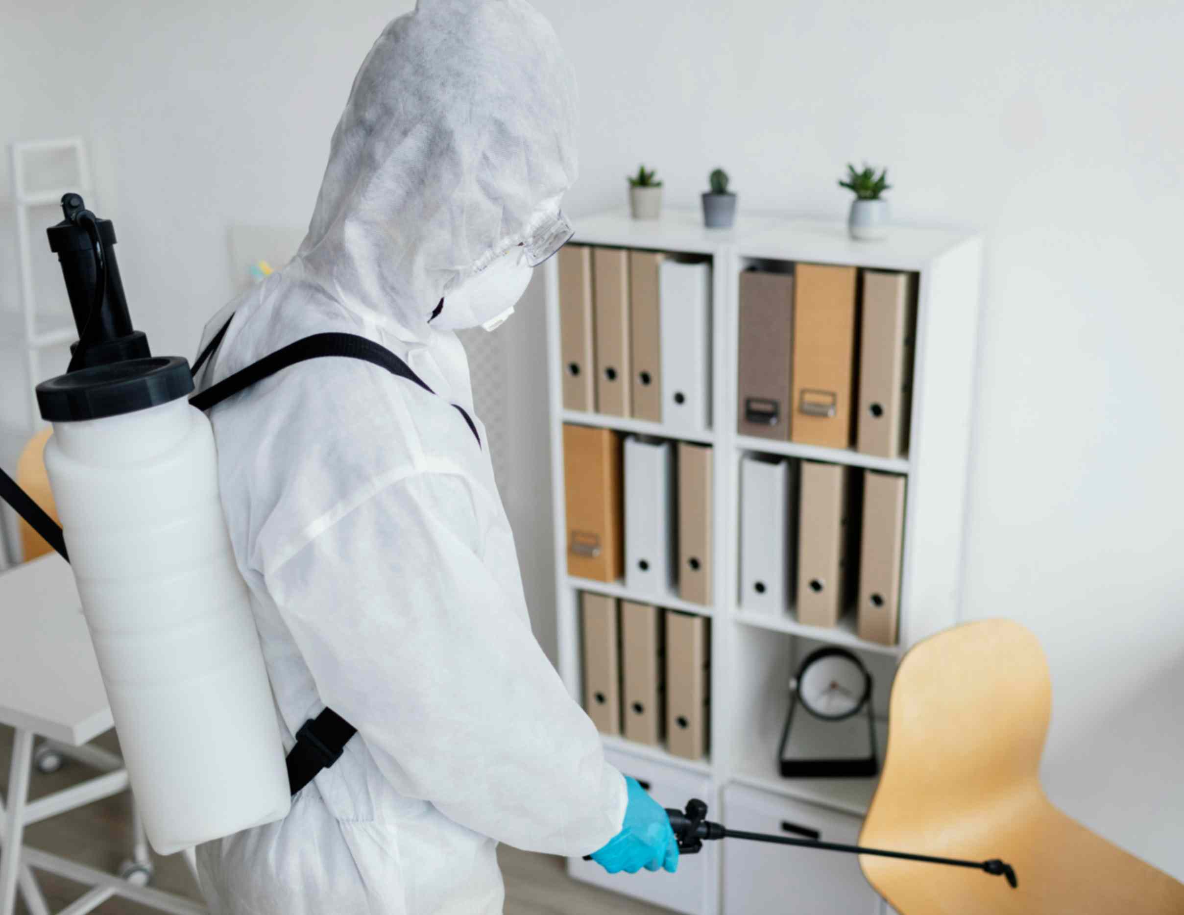  How Can You Help Pest Control Work Better?